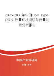 2025-2031年中國(guó)USB Type-C公頭行業(yè)現(xiàn)狀調(diào)研與行業(yè)前景分析報(bào)告
