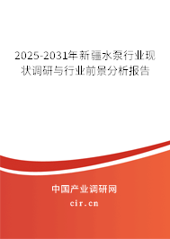 2025-2031年新疆水泵行業(yè)現(xiàn)狀調(diào)研與行業(yè)前景分析報(bào)告