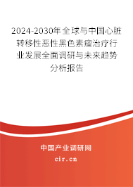 2024-2030年全球與中國心臟轉(zhuǎn)移性惡性黑色素瘤治療行業(yè)發(fā)展全面調(diào)研與未來趨勢分析報告