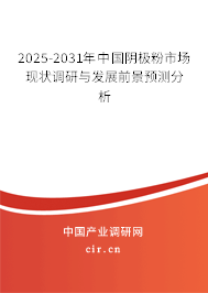 2025-2031年中國陰極粉市場現(xiàn)狀調(diào)研與發(fā)展前景預(yù)測分析