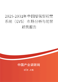 2025-2031年中國增強(qiáng)型視覺系統(tǒng)（EVS）市場分析與前景趨勢報告