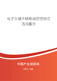 電子交易市場項目定位研究咨詢報告