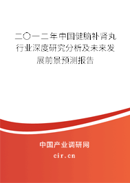 二〇一二年中國健腦補(bǔ)腎丸行業(yè)深度研究分析及未來發(fā)展前景預(yù)測報(bào)告