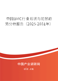 中國(guó)BMC行業(yè)現(xiàn)狀與前景趨勢(shì)分析報(bào)告（2025-2031年）