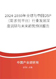 2024-2030年全球與中國(guó)DSP（需求側(cè)平臺(tái)）行業(yè)發(fā)展深度調(diào)研與未來趨勢(shì)預(yù)測(cè)報(bào)告