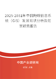 2025-2031年中國地理信息系統(tǒng)（GIS）發(fā)展現(xiàn)狀分析及前景趨勢報告