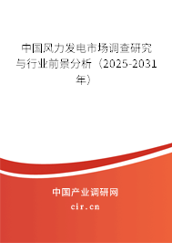 中國風力發(fā)電市場調(diào)查研究與行業(yè)前景分析（2025-2031年）
