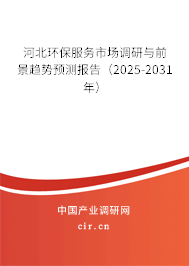 河北環(huán)保服務(wù)市場調(diào)研與前景趨勢預(yù)測報告（2025-2031年）