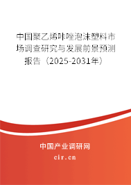 中國(guó)聚乙烯咔唑泡沫塑料市場(chǎng)調(diào)查研究與發(fā)展前景預(yù)測(cè)報(bào)告（2025-2031年）