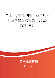 中國lng冷能利用行業(yè)市場分析及前景趨勢報告（2025-2031年）