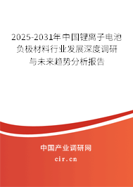 2025-2031年中國鋰離子電池負(fù)極材料行業(yè)發(fā)展深度調(diào)研與未來趨勢分析報告
