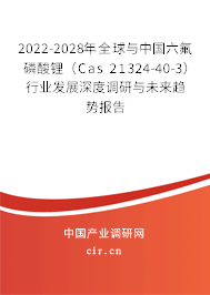 2022-2028年全球與中國六氟磷酸鋰（Cas 21324-40-3）行業(yè)發(fā)展深度調(diào)研與未來趨勢報告