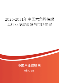 2025-2031年中國六角焊接螺母行業(yè)發(fā)展調(diào)研與市場前景
