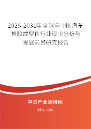 2025-2031年全球與中國(guó)汽車橡膠成型件行業(yè)現(xiàn)狀分析與發(fā)展前景研究報(bào)告