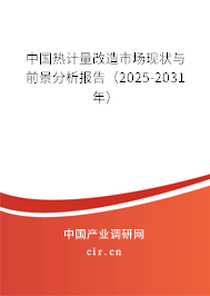 中國(guó)熱計(jì)量改造市場(chǎng)現(xiàn)狀與前景分析報(bào)告（2025-2031年）