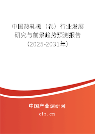 中國熱軋板（卷）行業(yè)發(fā)展研究與前景趨勢預(yù)測報告（2025-2031年）