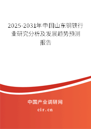 2025-2031年中國山東鋼鐵行業(yè)研究分析及發(fā)展趨勢(shì)預(yù)測(cè)報(bào)告