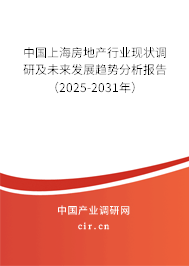 中國上海房地產(chǎn)行業(yè)現(xiàn)狀調(diào)研及未來發(fā)展趨勢分析報告（2025-2031年）