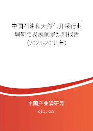 中國(guó)石油和天然氣開采行業(yè)調(diào)研與發(fā)展前景預(yù)測(cè)報(bào)告（2025-2031年）