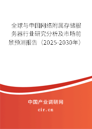 全球與中國網(wǎng)絡(luò)附屬存儲服務(wù)器行業(yè)研究分析及市場前景預(yù)測報(bào)告（2025-2030年）