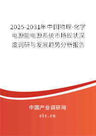 2025-2031年中國物理-化學(xué)電源能電源系統(tǒng)市場現(xiàn)狀深度調(diào)研與發(fā)展趨勢分析報告