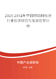 2025-2031年中國(guó)物聯(lián)網(wǎng)電池行業(yè)現(xiàn)狀研究與發(fā)展前景分析