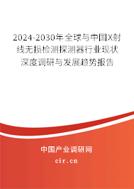2024-2030年全球與中國X射線無損檢測探測器行業(yè)現(xiàn)狀深度調(diào)研與發(fā)展趨勢報告