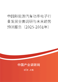 中國新能源汽車功率電子行業(yè)發(fā)展全面調(diào)研與未來趨勢預(yù)測報告（2025-2031年）