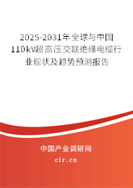 2025-2031年全球與中國110kV超高壓交聯(lián)絕緣電纜行業(yè)現(xiàn)狀及趨勢預測報告