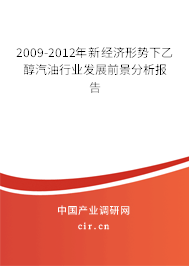 2009-2012年新經(jīng)濟(jì)形勢(shì)下乙醇汽油行業(yè)發(fā)展前景分析報(bào)告