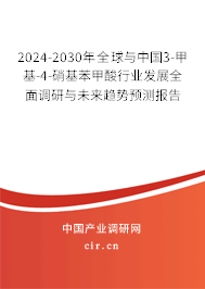 2024-2030年全球與中國3-甲基-4-硝基苯甲酸行業(yè)發(fā)展全面調(diào)研與未來趨勢預(yù)測報告