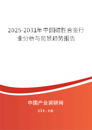 2025-2031年中國(guó)磁性合金行業(yè)分析與前景趨勢(shì)報(bào)告