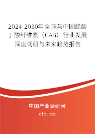 2024-2030年全球與中國(guó)醋酸丁酸纖維素（CAB）行業(yè)發(fā)展深度調(diào)研與未來(lái)趨勢(shì)報(bào)告
