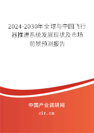 2024-2030年全球與中國(guó)飛行器推進(jìn)系統(tǒng)發(fā)展現(xiàn)狀及市場(chǎng)前景預(yù)測(cè)報(bào)告