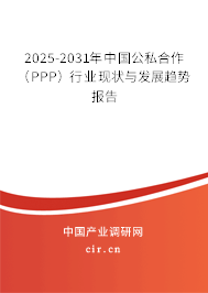 2025-2031年中國公私合作（PPP）行業(yè)現(xiàn)狀與發(fā)展趨勢報告