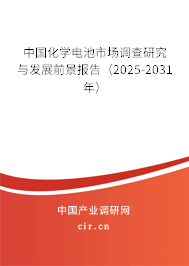 中國化學(xué)電池市場調(diào)查研究與發(fā)展前景報告（2025-2031年）