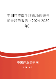 中國(guó)可穿戴手環(huán)市場(chǎng)調(diào)研與前景趨勢(shì)報(bào)告（2024-2030年）