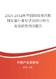 2025-2031年中國磷酸苯丙哌林膠囊行業(yè)現(xiàn)狀調(diào)研分析與發(fā)展趨勢預測報告