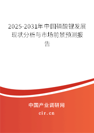 2025-2031年中國磷酸鋰發(fā)展現(xiàn)狀分析與市場前景預(yù)測報(bào)告