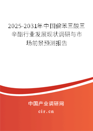 2025-2031年中國偏苯三酸三辛酯行業(yè)發(fā)展現(xiàn)狀調(diào)研與市場前景預(yù)測報告 2025-2031年中國偏苯三酸三辛酯行業(yè)發(fā)展現(xiàn)狀調(diào)研與市場前景預(yù)測報告
