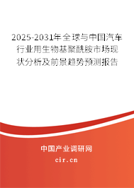 2025-2031年全球與中國汽車行業(yè)用生物基聚酰胺市場(chǎng)現(xiàn)狀分析及前景趨勢(shì)預(yù)測(cè)報(bào)告