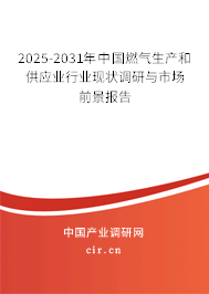 2025-2031年中國燃?xì)馍a(chǎn)和供應(yīng)業(yè)行業(yè)現(xiàn)狀調(diào)研與市場前景報(bào)告 2025-2031年中國燃?xì)馍a(chǎn)和供應(yīng)業(yè)行業(yè)現(xiàn)狀調(diào)研與市場前景報(bào)告