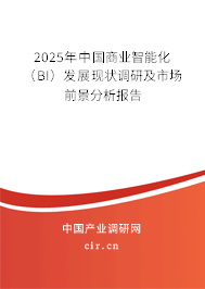 2025年中國(guó)商業(yè)智能化（BI）發(fā)展現(xiàn)狀調(diào)研及市場(chǎng)前景分析報(bào)告