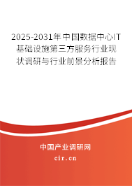 2025-2031年中國數(shù)據(jù)中心IT基礎(chǔ)設(shè)施第三方服務(wù)行業(yè)現(xiàn)狀調(diào)研與行業(yè)前景分析報告
