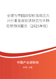 全球與中國異型腔流體壓力計行業(yè)發(fā)展現(xiàn)狀研究與市場前景預(yù)測報告（2025年版）
