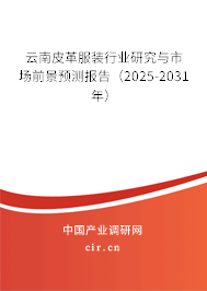 云南皮革服裝行業(yè)研究與市場前景預(yù)測報告（2025-2031年）