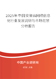 2025年中國安徽省網(wǎng)絡(luò)信息化行業(yè)發(fā)展調(diào)研與市場前景分析報(bào)告