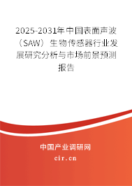 2025-2031年中國表面聲波（SAW）生物傳感器行業(yè)發(fā)展研究分析與市場前景預(yù)測報告