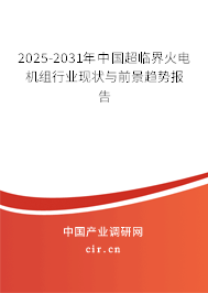 2024-2030年中國超臨界火電機(jī)組行業(yè)現(xiàn)狀與前景趨勢報告