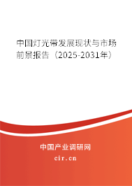 中國燈光帶發(fā)展現(xiàn)狀與市場前景報告（2025-2031年）
